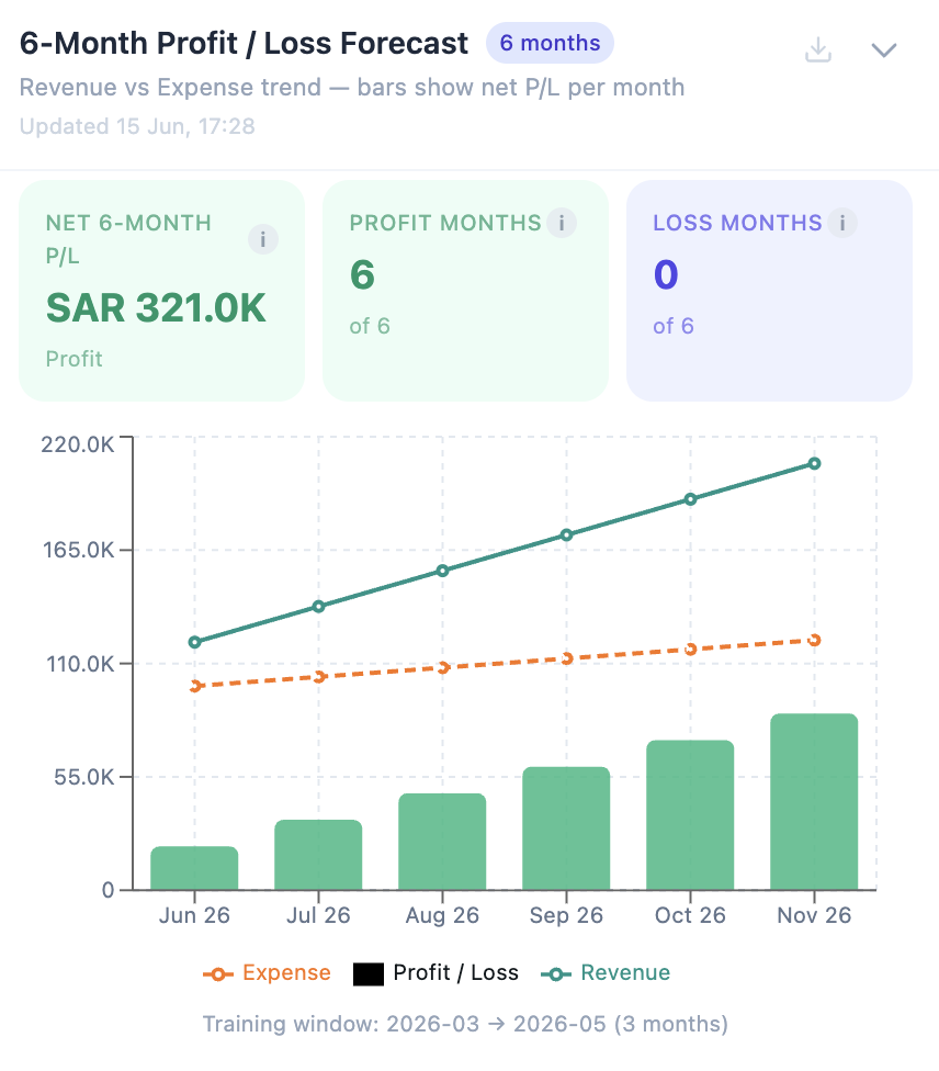 6 Month Profit Loss Forecast